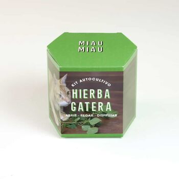 Kit d'auto-culture d'herbe à chat 2