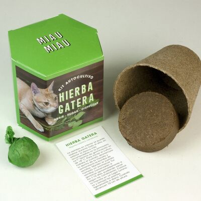 Kit d'auto-culture d'herbe à chat