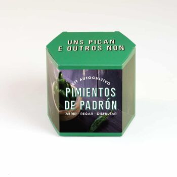 Kit d'auto-culture poivrons Padrón 2