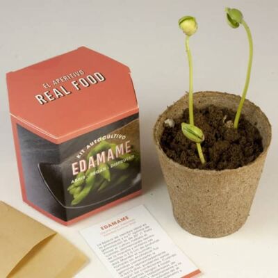 Edamame self-cultivation kit