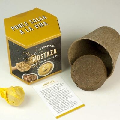 Mustard self-cultivation kit