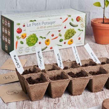 The Small Vegetable Garden Kit - 10 essential organic seedlings * 6