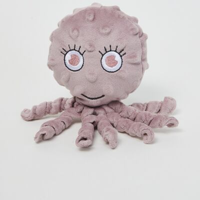 Octopus Tabitha