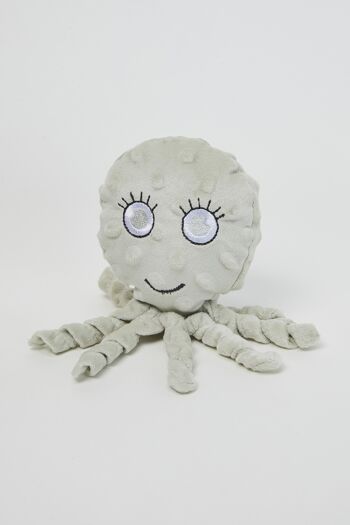 Octopus Tim 1