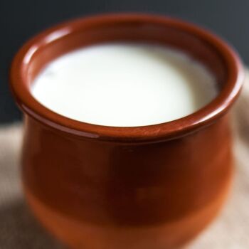 Démarreur de yaourt de la mer Caspienne certifié biologique
