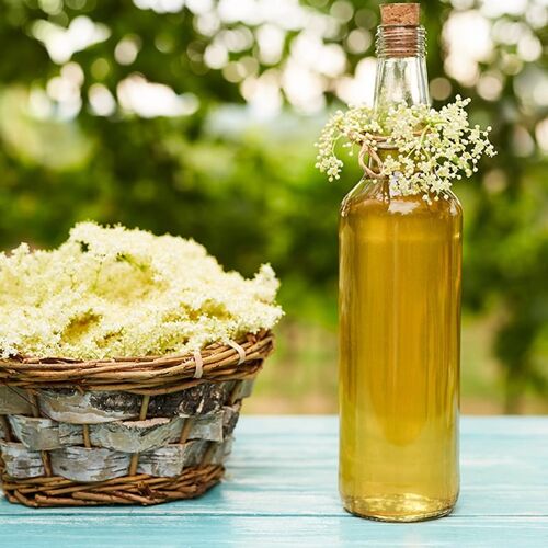 Organic Certified Elderflower Vinegar Mother