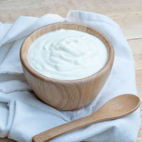 Organic Certified Sour Cream Starter Culture