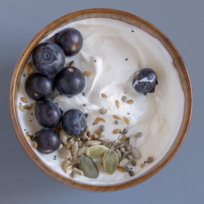 Organic Certified Skyr Yoghurt Starter Culture