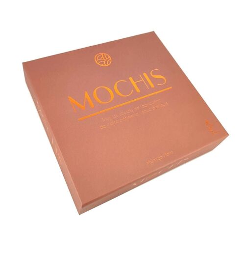 LIVRE DE RECETTES - Mochis