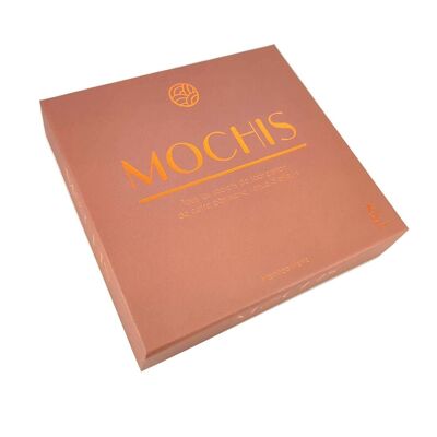 RECIPE BOOK - Mochis