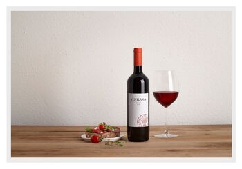 Vin rouge Vinkara Syrah 2020 - Maison de vin turque 2