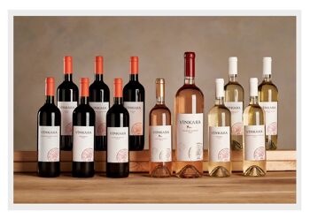 Vin rouge Vinkara Syrah 2020 - Maison de vin turque 3