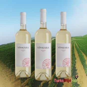 Vin blanc Vinkara Narince 2022 - Maison de vin turque 3