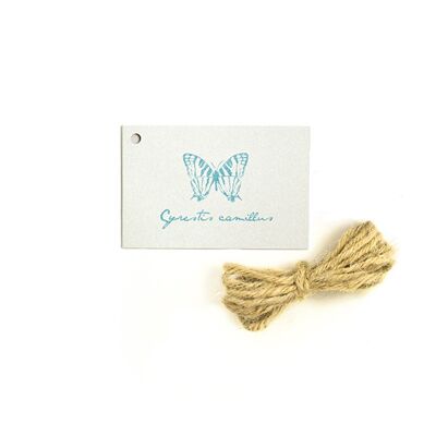 Etiqueta de regalo mariposas del mundo No. 02