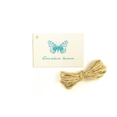 Etiqueta de regalo mariposas del mundo No. 03