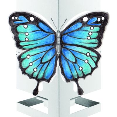 Papillon Cardle - Bleu