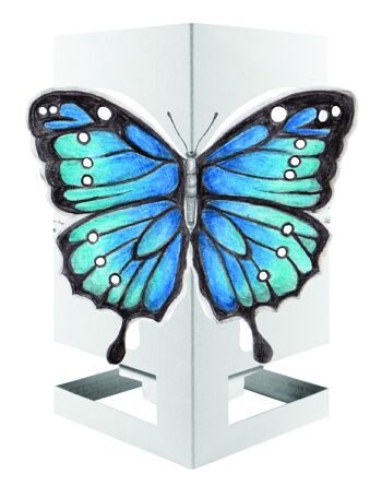 Papillon Cardle - Bleu 1