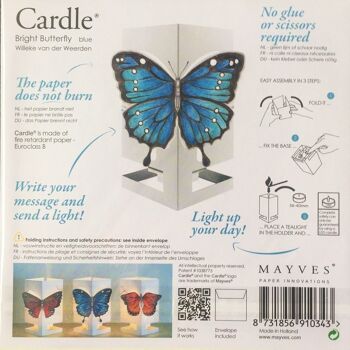 Papillon Cardle - Bleu 3