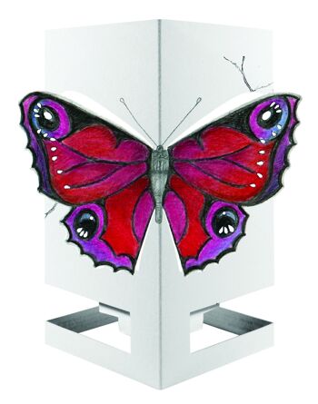 Papillon Cardle - Rouge 1