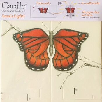 Papillon Cardle - Orange 2