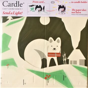 Cardle Northern Lights - Renard 2