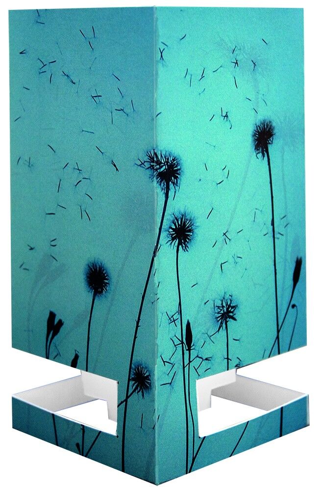 Cardle Breezily - Mediodía