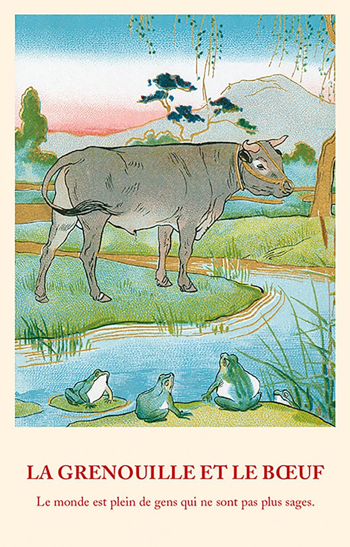 Carta favola: la rana e il bue