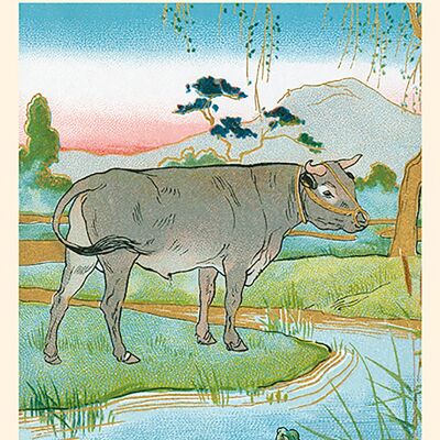 Fable Card: The Frog and the Ox