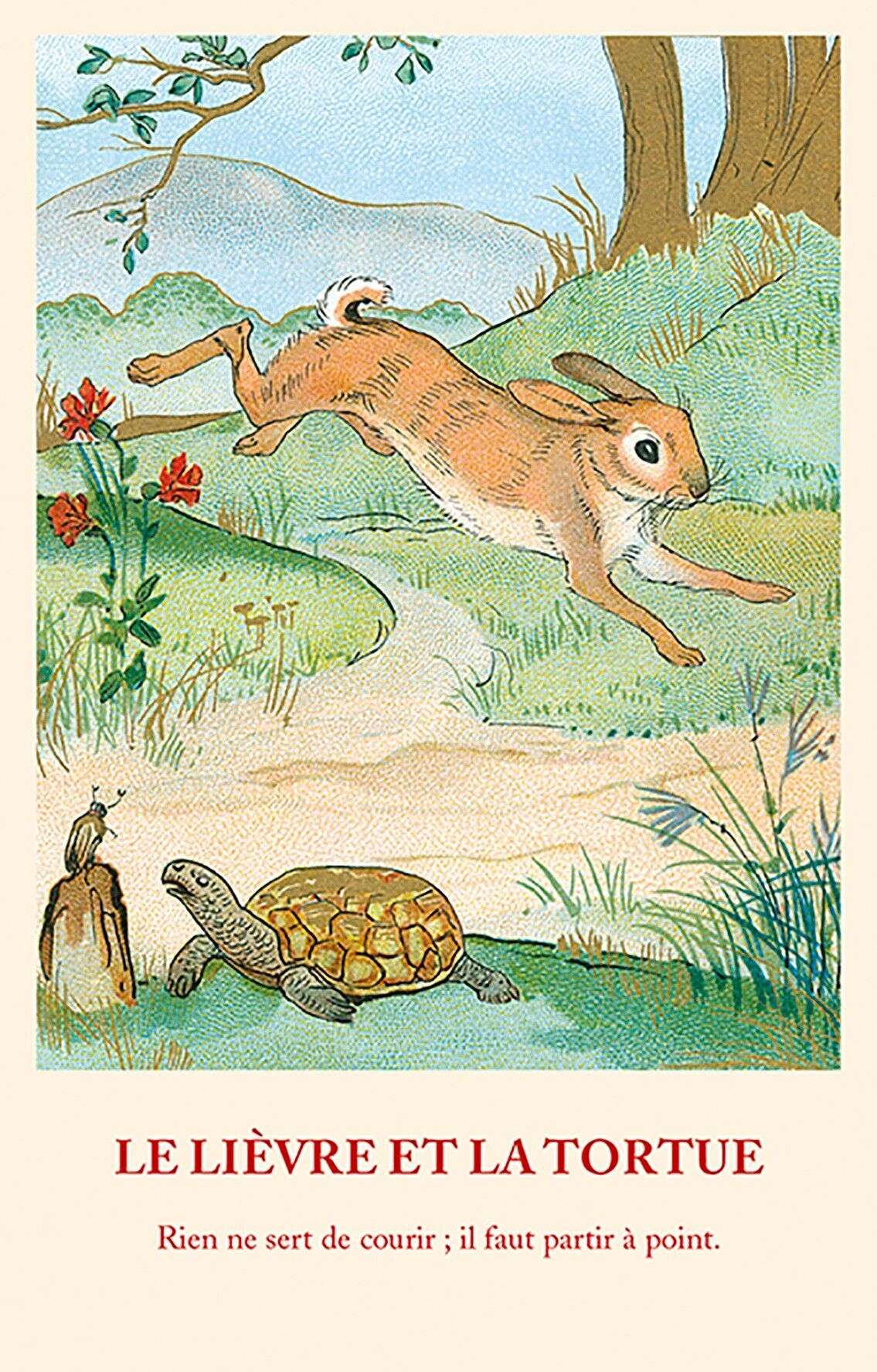 Carta favola: La lepre e la tartaruga