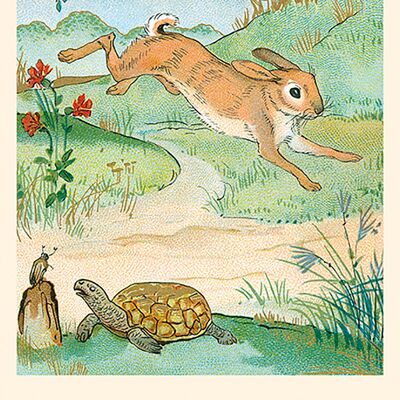 Fabelkarte: Der Hase und die Schildkröte