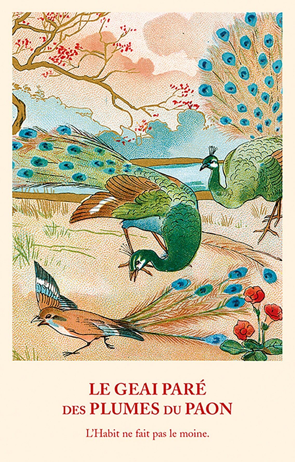 Carta favola: la ghiandaia ornata di piume di pavone