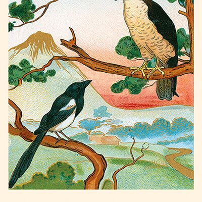 Fabelkarte: Der Adler und die Elster