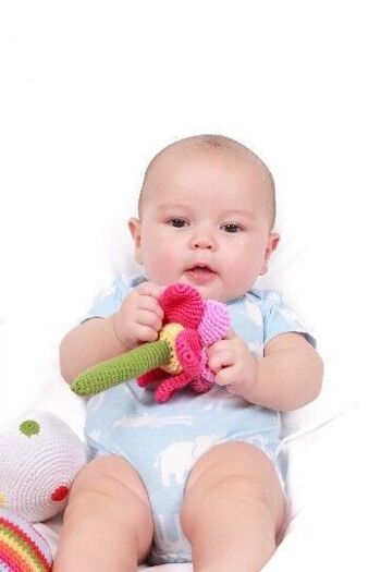 Baby Toy Friendly hochet fleur avec tige rose vif 2