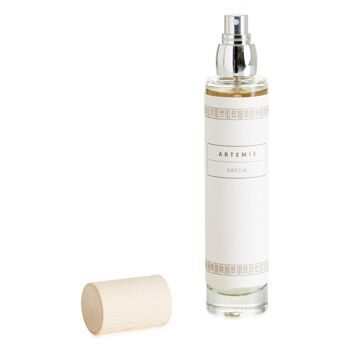 Spray Désodorisant - Parfum de Noix de Coco, Vanille et Épices - Artemis - 100ml/3,38fl.oz 2