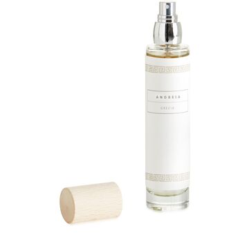 Spray Désodorisant - Parfum Vert Frais - Andreia - 100ml/3,38fl.oz 2