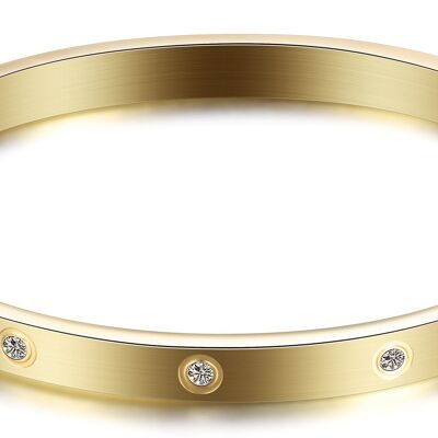 Edelstalen ringarmband zirconia goud