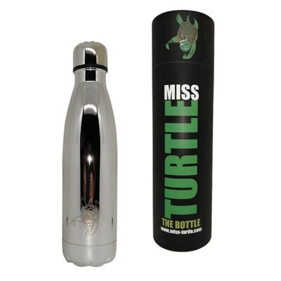 Insulated Water Bottle - It Shines in Silver