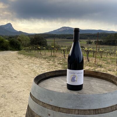 Organic wine - Le Cazal - Organic PDO Pic Saint-Loup - Syrah Grenache