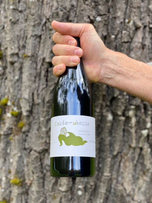 Cuvée Plan Bastit - Vin rouge - IGP Saint-Guilhem-le-Désert / Val de Montferrand - 100% Syrah