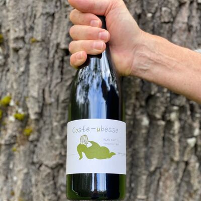 Cuvée Plan Bastit - Red wine - IGP Saint-Guilhem-le-Désert / Val de Montferrand - 100% Syrah