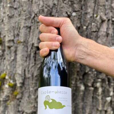 Cuvée Plan Bastit - Red wine - IGP Saint-Guilhem-le-Désert / Val de Montferrand - 100% Syrah