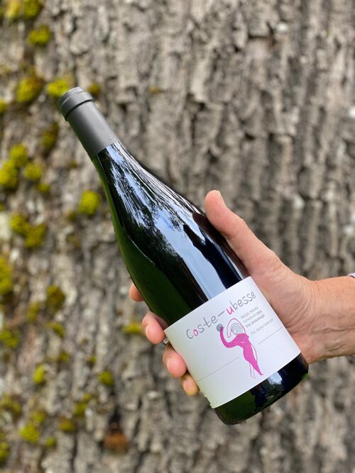 Cuvée Moja Negra 2021 – Vin rouge - AOP Pic Saint-Loup bio – Syrah Grenache