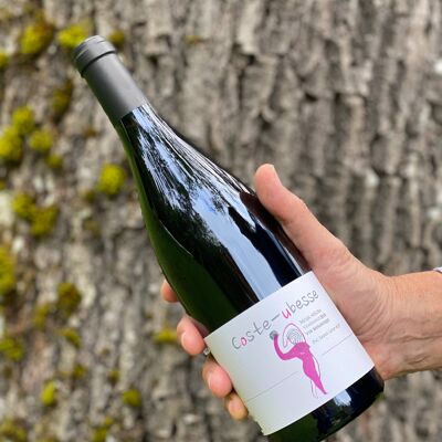 Cuvée Moja Negra 2021 – Red wine - Organic Pic Saint-Loup AOP – Syrah Grenache