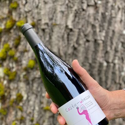 Cuvée Moja Negra 2021 – Vino tinto - Ecológico Pic Saint-Loup AOP – Syrah Garnacha