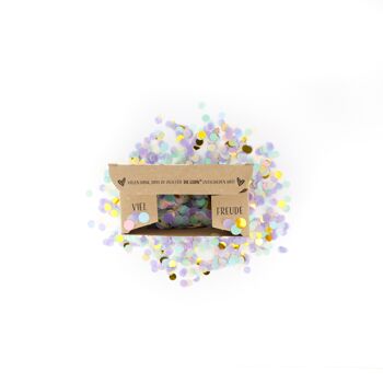 Confettis dans une boîte (confettis ronds en pastel / or) - 100 grammes 2