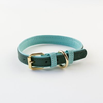 Willow Walks leather collar in two tone dark green and aqua