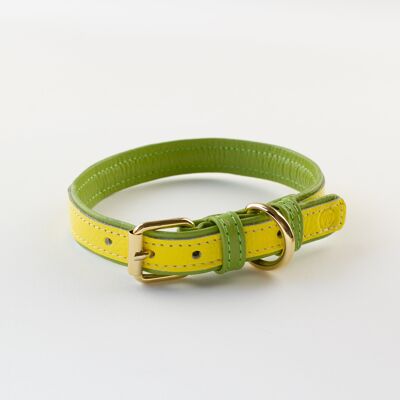 Willow Walks leather collar in two tone yellow and light green