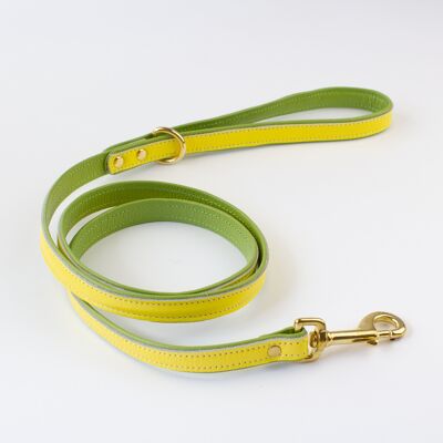 Willow Walks double sided soft leather lead in yellow and light green