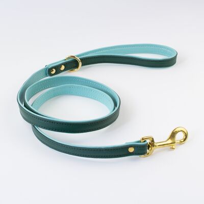 Willow Walks double sided soft leather lead in dark green and aqua
