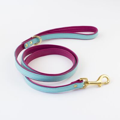 Willow Walks double sided soft leather lead in aqua and fuchsia